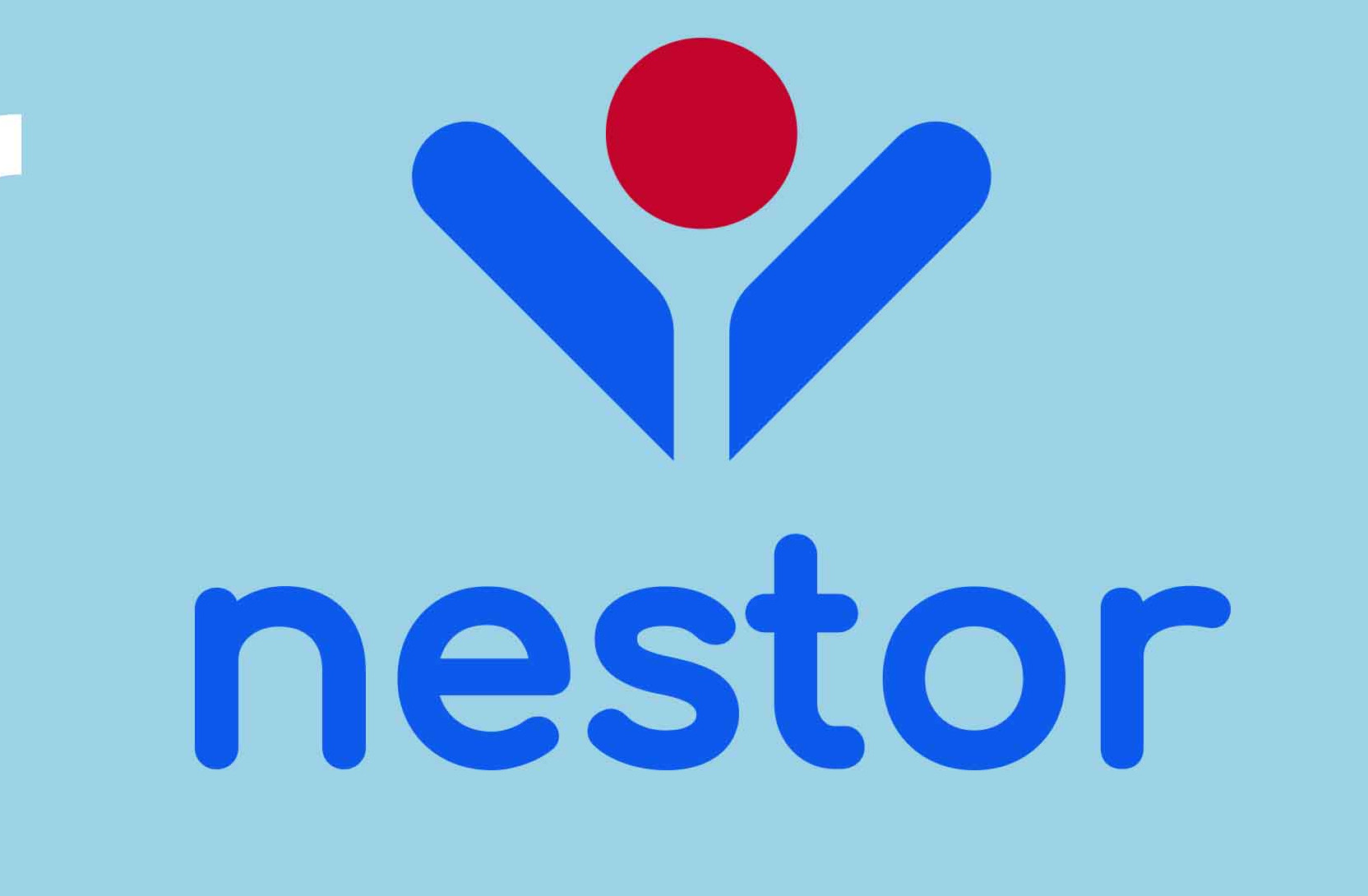 NESTOR - standard wsparcia osób starszych w Powiecie Kartuskim