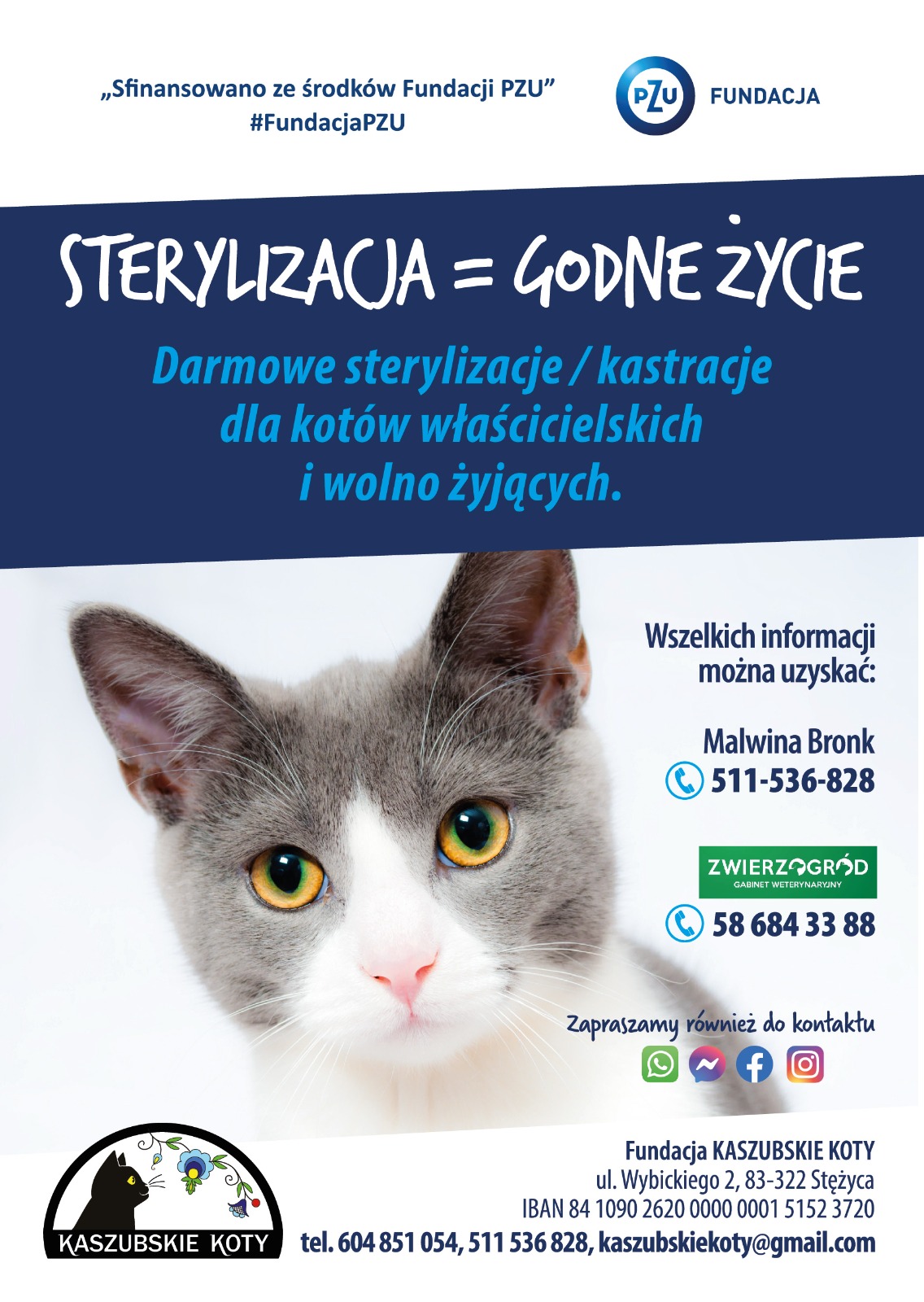 Darmowe sterylizacje/kastracje dla kotów właścicielskich i wolno stojących