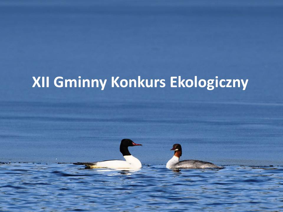 XII Gminny Konkurs Ekologiczny