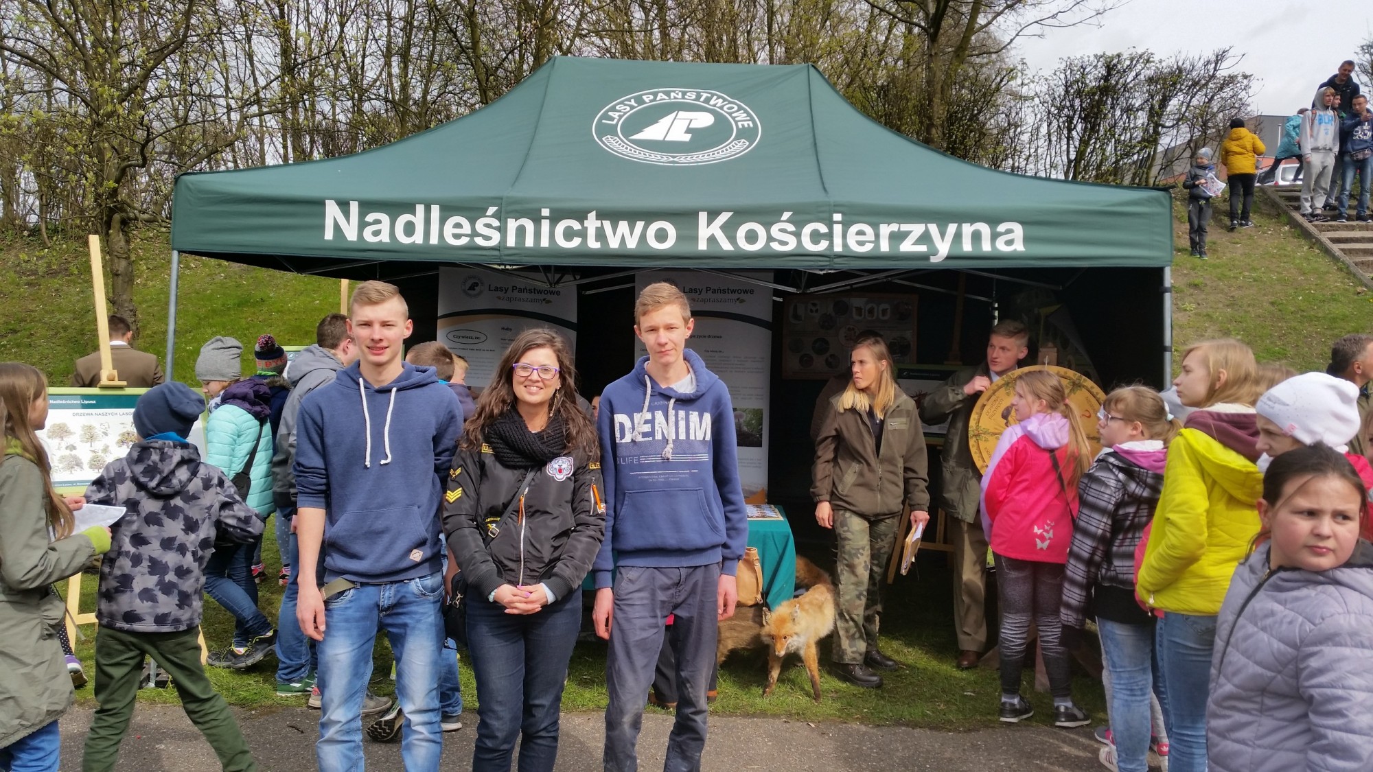 Drzewko za makulaturę