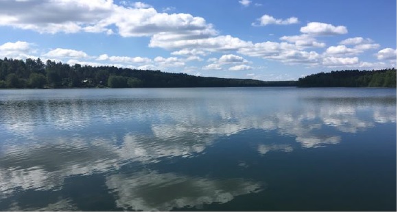 Jezioro Dąbrowskie - wędkowanie