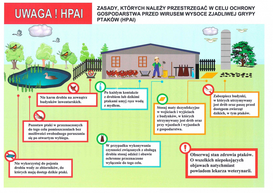 Zasady, których należy przestrzegać w celu ochrony gospodarstwa przed wirusem wysoce zjadliwej grypy ptaków (HPAI)