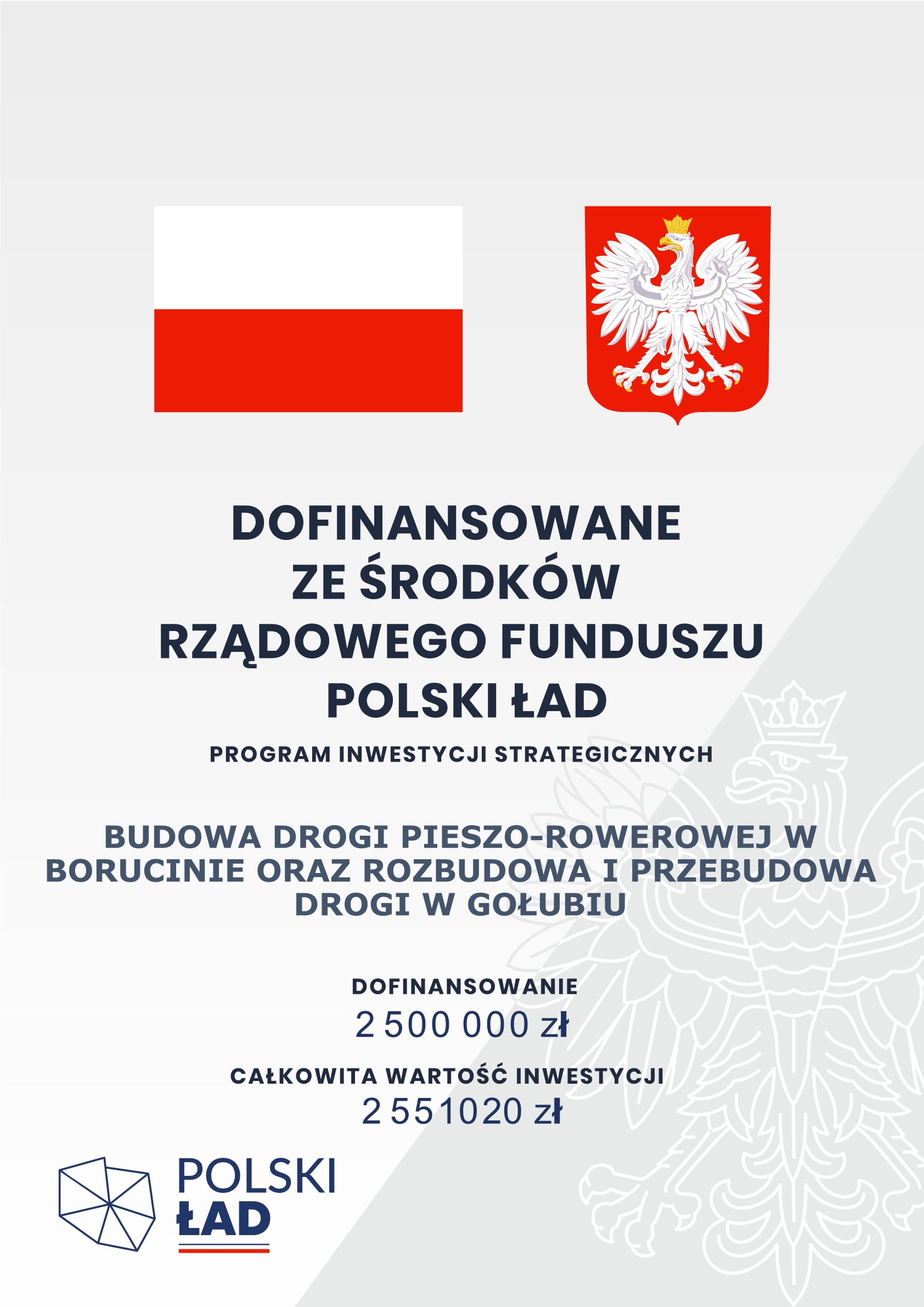 BUDOWA DROGI PIESZO-ROWEROWEJ W BORUCINIE ORAZ ROZBUDOWA I PRZEBUDOWA DROGI W GOŁUBIU